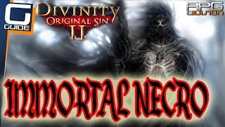 DIVINITY ORIGINAL SIN 2  IMMORTAL NECROMANCER BUILD [upl. by Dib]