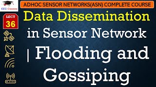 L36 Data Dissemination in Sensor Network  Flooding and Gossiping  Adhoc Sensor Network Lectures [upl. by Ellynad]