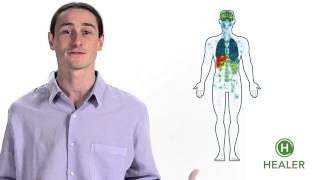 Your Endocannabinoid System Explained [upl. by Oznol]