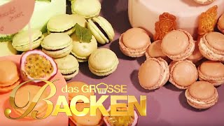 Das große Backen 2014  Macarons Klein aber oho [upl. by Lorrad536]