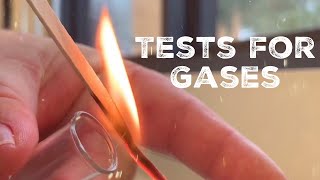 GCSE Science Chemistry 91  Tests for Gases [upl. by Ainerbas]