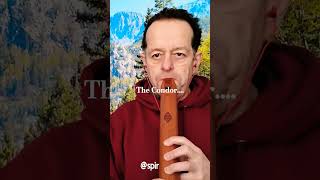 The Condor Native American style Flute harmony love [upl. by Willet]