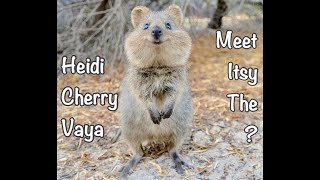 Fun Bedtime Story For Kids  Heidi Cherry amp Vaya Meet Itsy The [upl. by Philis]