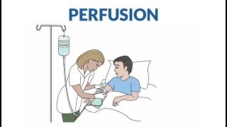 Comment se passe une perfusion [upl. by Sakhuja]