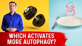 Autophagy Exercise vs Fasting [upl. by Antonina]