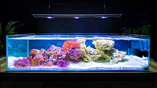 How I Built My Shallow Reef Tank How To Make a Reef Tank [upl. by Ettari]