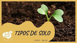 TIPOS DE SOLO  Ensino Fundamental [upl. by Relyuc]