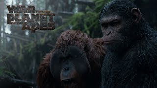 Planet of the Apes 1968 Movie Ending Explained [upl. by Geraud]