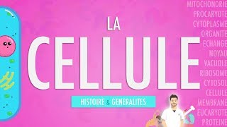 LA CELLULE  INTRODUCTION Partie 1 [upl. by Dittman]