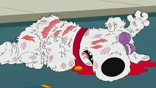 Family guy  Brian dies [upl. by Enisamoht]