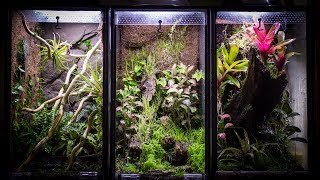 Aquarium to 10 Gallon Vertical Vivarium [upl. by Ahsineb]