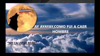 TEMERARIOS letra ME CAI DE LA NUBE [upl. by Lednahs478]