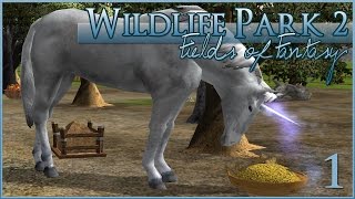 Unicorns Dragons and Mermaids  Oh My • Wildlife Park 2 Fields of Fantasy • 1 [upl. by Schmitt934]