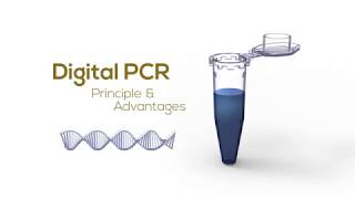 Digital PCR Principle amp Advantages [upl. by Nikolos]