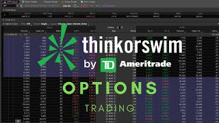 ThinkorSwim Tutorial Options Trading [upl. by Roht416]