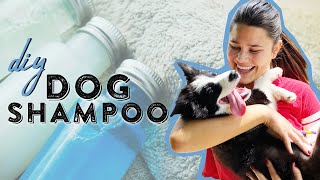 Cheap Homemade Dog Shampoo  Dog Care 101  Southern Living From Home [upl. by Znieh]