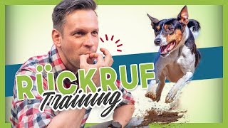 Rückruftraining  Deinem Hund oder Welpen KOMM beibringen [upl. by Alisen]