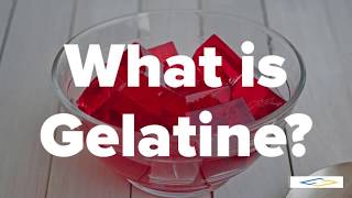 What is GelatineGelatin  Halal Gelatin [upl. by Mccreery]