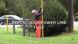 Changing a Power Line Fuse [upl. by Accebor]