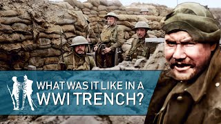 24 Hrs In The Trenches WW1 Documentary [upl. by Simonsen808]