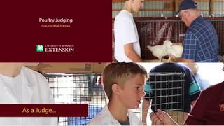 4H Poultry Judging [upl. by Richey178]