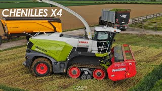 😱💪CHENILLES x4  CLAAS TT amp JOHN DEERE 8RT  HORSCH FOCUS  ☘ [upl. by Kraska]