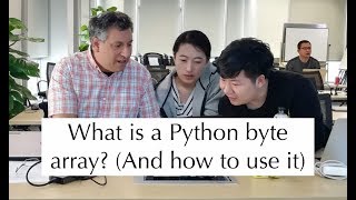 Python standard library Byte arrays and how to use them [upl. by Nnaeirb377]