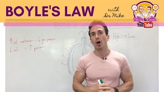 Boyles Law  Respiratory System [upl. by Bridwell611]