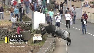 AS Melhores Touradas 2018  Parte 5  Ilha Terceira AÇORES [upl. by Rawlinson]