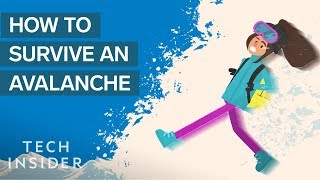 How To Survive An Avalanche [upl. by See]