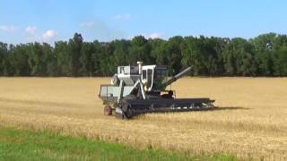 Gleaner L2 Combine cutting wheat near Preston Kansas [upl. by Hosea]