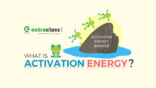 Activation Energy  Chemical Kinetics  Chemistry  Extraclasscom [upl. by Joses]