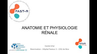 Anatomie et physiologie rénale [upl. by Odnesor891]