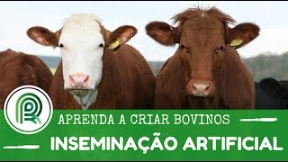 Aprenda a criar bovinos  Aula 3 inseminação artificial [upl. by Selfridge]