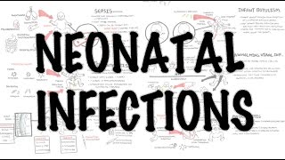 Neonatal Infections  Overview [upl. by Pete725]