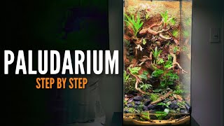 How to build a Paludarium Vivarium [upl. by Patt693]