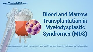 How Does Bone Marrow Transplant Works UrduHindi [upl. by Nabala]