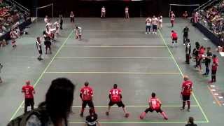 Canada vs USA  Mens Final  Dodgeball World Championship 2014  2nd Half [upl. by Alick]