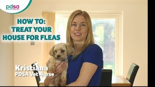 How To Treat Your House For Fleas PDSA Petwise Pet Health Hub [upl. by Emilie]