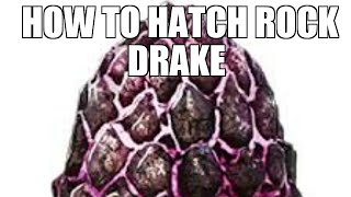 How to hatch Rock Drake Eggs  Ark Survival Evolved [upl. by Latini]