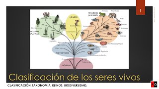 Clasificación de los seres vivos [upl. by Edrei465]