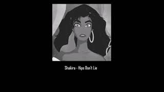 hips dont lie slowed [upl. by Novar]