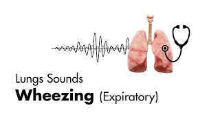 Wheezing expiratory  Lung Sounds  MEDZCOOL [upl. by Airdnaxila]