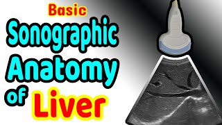 Basic Sonographic Anatomy of the Liver [upl. by Bez666]