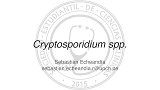 Cryptosporidium spp [upl. by Anerda]