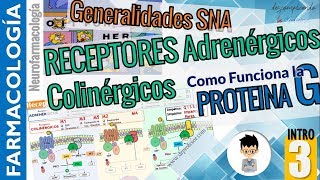 PROTEINA G 2do MENSAJEROS  Receptores ADRENÉRGICO COLINÉRGICO NEUROFARMACOLOGÍA INTRO P3 [upl. by Aryk]