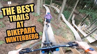 THE 3 BEST MTB TRAILS AT BIKEPARK WINTERBERG [upl. by Aneala]