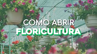 COMO ABRIR UMA FLORICULTURA [upl. by Haswell]