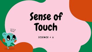 Learning the FIVE SENSES  SENSE OF TOUCH  Enjoy Science for Kids [upl. by Mozza]