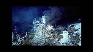 The Deepest Place On Earth Mariana Trench  Documentary [upl. by Holly-Anne139]